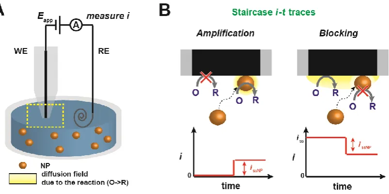 Figure 1.5 (A) Schematic of a SNEI experiment setup using a UME as the WE. (B) 
