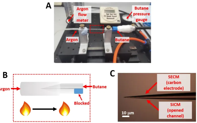 Figure 2.1 (A) A photograph and (B) schematic depicting the experimental set up for 