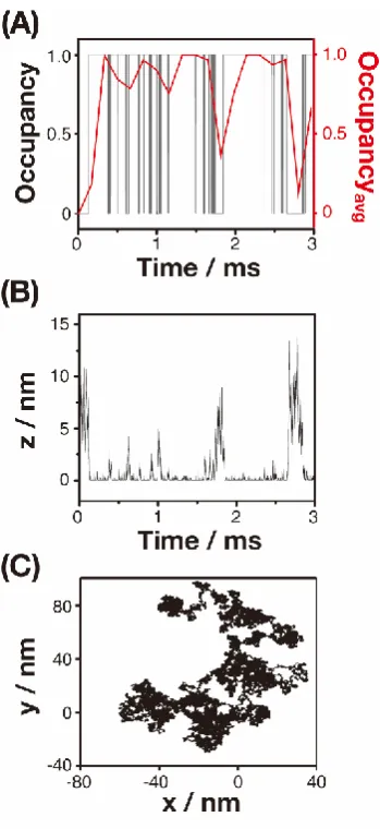 Figure 3.3 (A) Comparisons of the occupancy (black) and the average occupancy of the NP considering the experimental conditions (red)