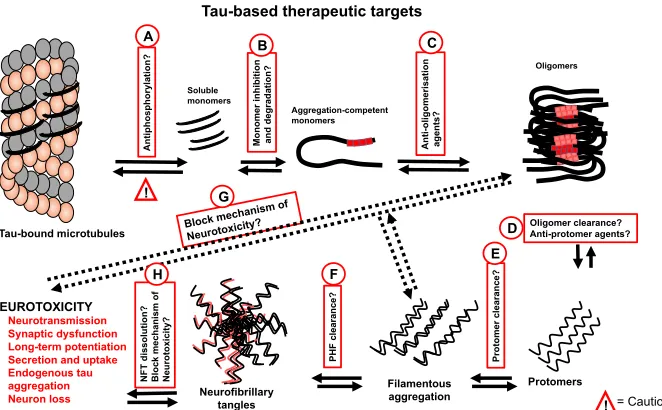 Figure 1.11. Dysfunctional tau-targeted drug development targets and 