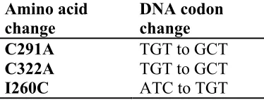 Table 3.2. Codon changes made in the cysteine modifications induced in the 