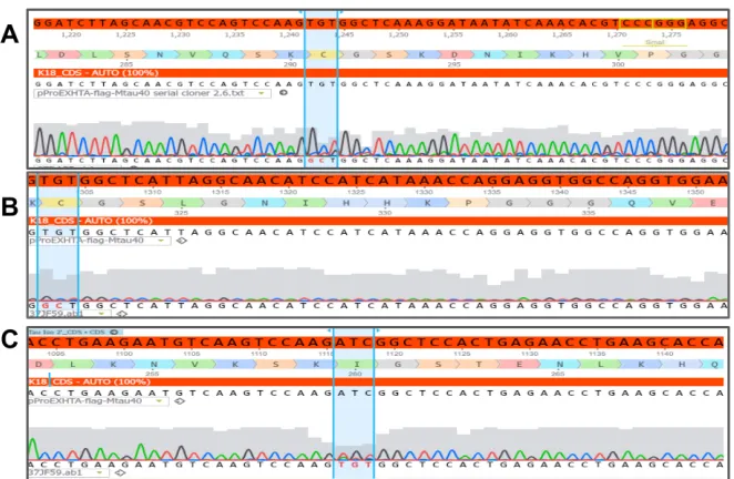 Figure 3.15. Cysteine modification in the htau40-Flag-N279K construct, showing the C291A, C322A and I260C amino acid modifications in (A), (B) and (C) respectively