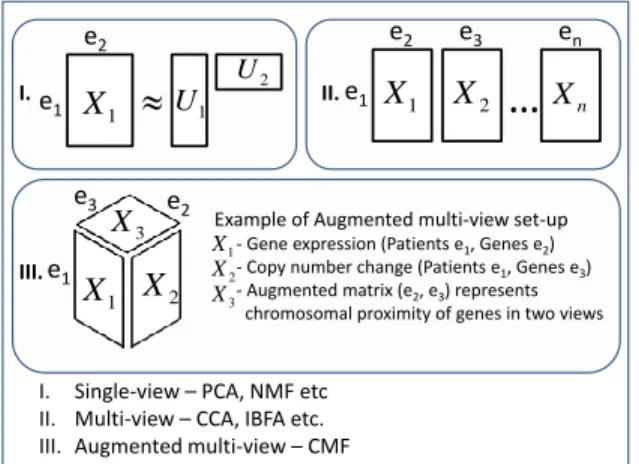 Figure 1. Examples of matrix factorization setups.