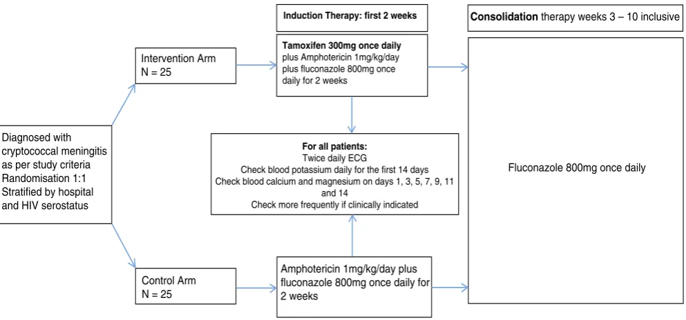 Figure 1. Trial design and flow diagram.