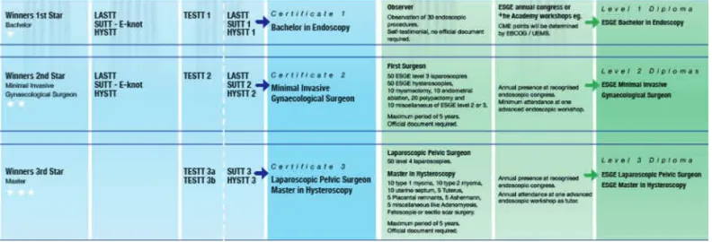 Fig. 2. — Overview of +he Academy certification and ESGE diploma programme