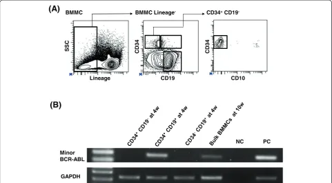 Figure 2 Chase of the minor BCR-ABL1 positive clone during clinical course. (A) FACS analysis and sorting of BMMCs at four weeks afterthe initiation of dasatinib treatment