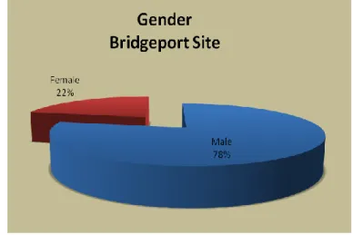 Graphic 2: Educational Level Bridgeport 