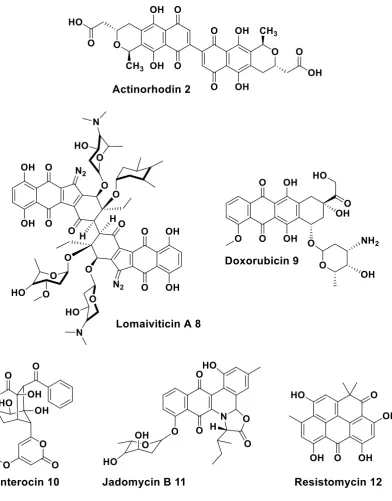Figure 2  Examples of polyketides biosynthesised by type II iterative polyketide synthases