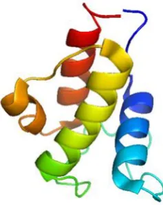 Figure 7  Solution NMR structure of the apo acyl carrier protein 44 from the actinorhodin minimal system, clearly indicating the four helices