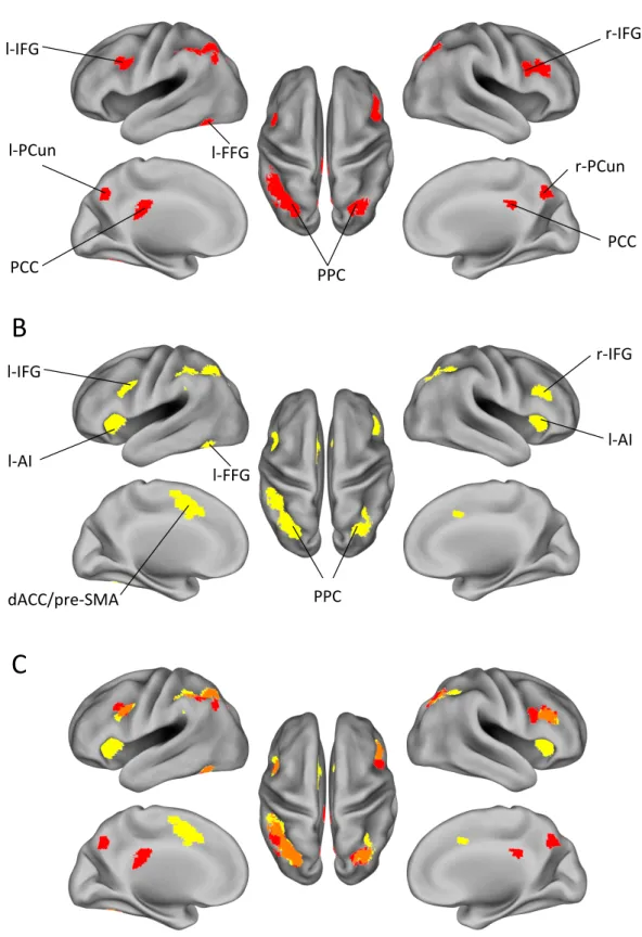 Figure	 2.4	 |	 Whole-brain	 analysis	 results.	 (A)	 Regions	 significantly	 modulated	 by	 updating	 (D KL ).	 (B)	 Regions	 significantly	 modulated	 by	 surprise	 (I s ).	 (C)	 Overlapping	 of	 activation	 between	 D KL 	 and	 I s .	 Abbreviations:	 IF