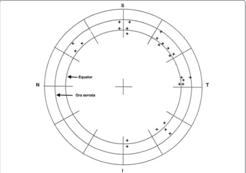 Fig. 1 The localization of retinal tears in all eyes. Each retinal tear is represented by the sign +