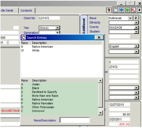 Figure 2-3 Selecting multiple ethnicities 