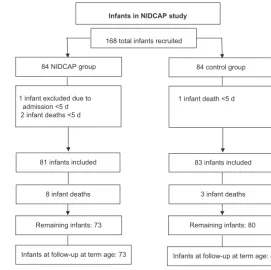 FIGURE 1Study ﬂow and infant deaths.