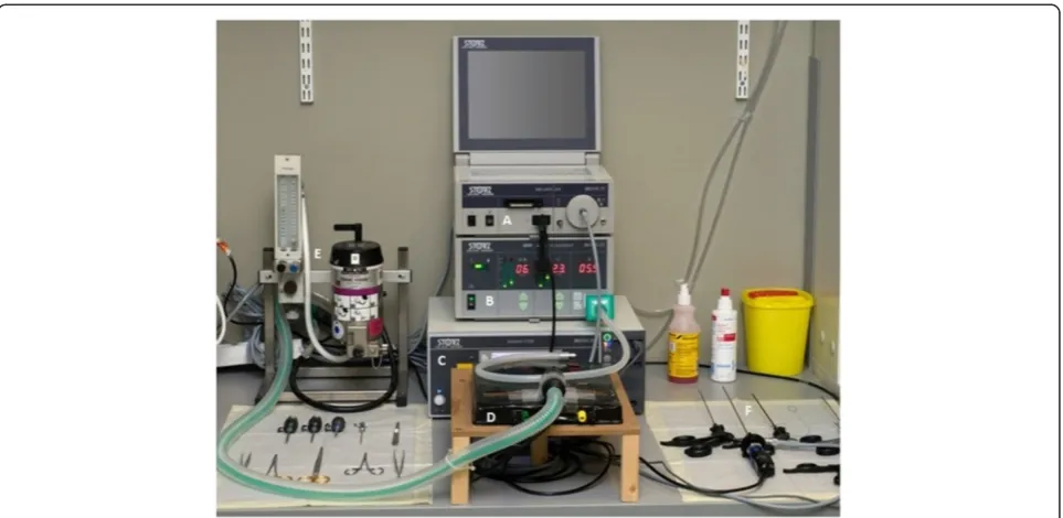 Figure 1 Animal operation workplace. (A) Tele Pack. (B) Electronic Endoflator®. (C) Autocon® II 200 (Karl Storz GmbH & Co KG , Tuttlingen,Germany)