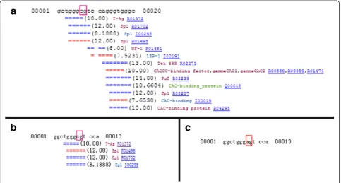 Fig. 1 Transcription factor binding sites Prediction. The sequence around the CpG site, which displays the most significant differences in methylationbetween nuclear ARC cases and controls, is analyzed for transcription factor binding prediction via TESS w