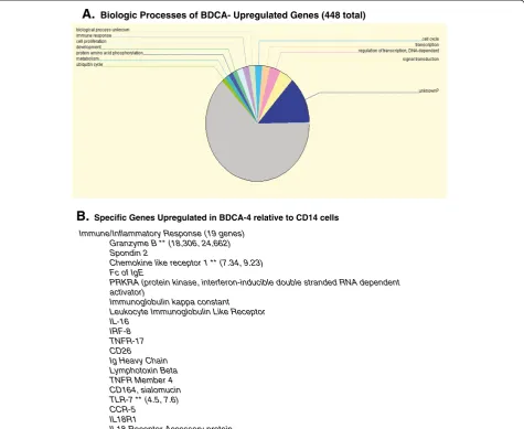 Figure 2 Summary of BDCA-4 dendritic cell genes upregulated (A) and genes involved in the immune response