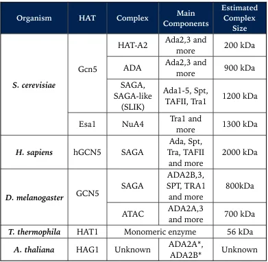 Table 1.2. Major HAT complexes identified in different model organisms. In the case of HAG1 in A