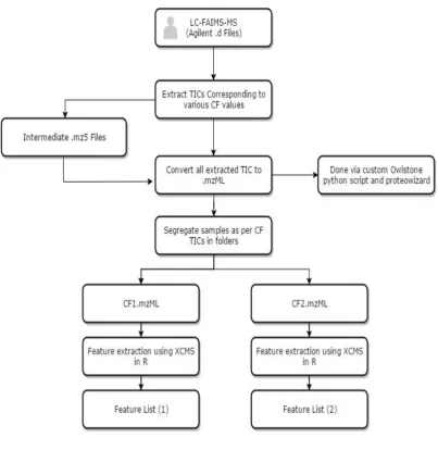 Figure 3.1. Workflow summary of data processing and extraction process.  