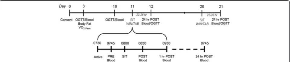 Fig. 1 Graphic summary of the experimental design for the study.recovery exercise, OGTT oral glucose tolerance test, SIT sprint interval training, TAB Tabata short WIN Wingate long recovery exercise