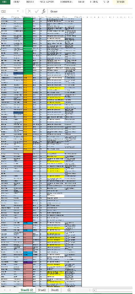 Figure 4.1: RAG Report 