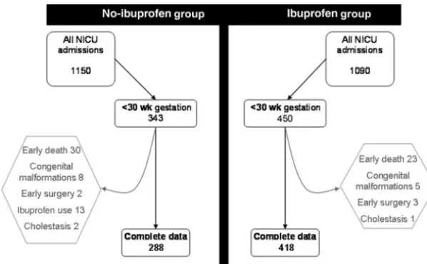 FIGURE 1Population enrollment ﬂowchart. Studied infants represented 83.9% (no-ibuprofen [NoIBU] group)