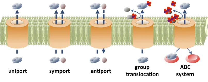 Figure 1.3: Modes of transport.