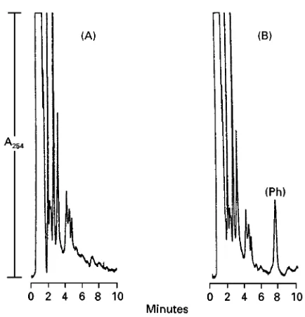 Figure 6Chromatograms ofmobile phase, acetonitrilerate, 2.0 mL minfetal bovine serum (A) andphenytoin (Ph)-spiked fetal bovine serum (B) at pH 2.5