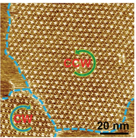 Figure 1.7: Monolayer of self-assembled 1,2,4-tri(tridecyloxy)-9,10-anthracenedione(TTA) molecules on highly oriented pyrolytic graphite (HOPG) substrate