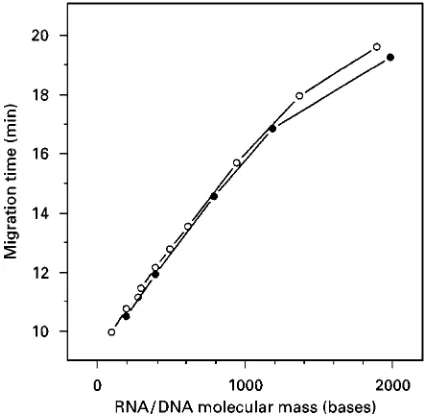 Figure 1Electropherogram of RNA molecular-mass marker.taining 0.3svoll J and Ueland PM (1996) Analysis of RNA by capillaryelectrophoresis