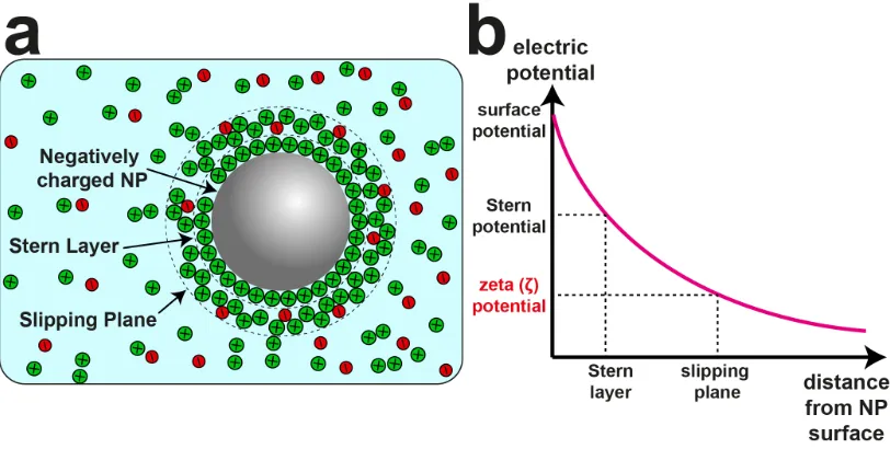 Figure 1.9. Defining the ζ-potential at a charged NP. (a) Schematic of a negatively 