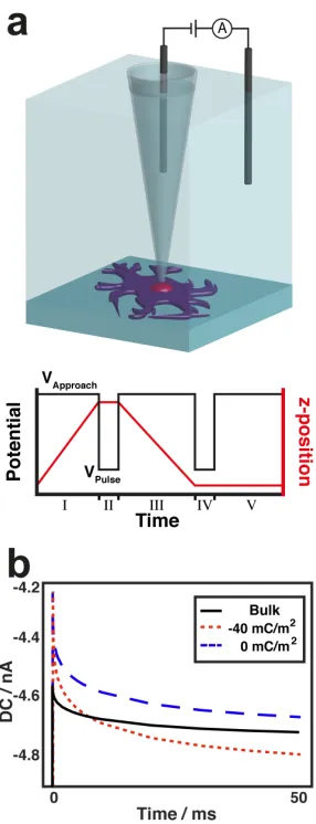 Figure 3.1. Setup for a high-speed charge mapping experiment. (a) Schematic of basic SICM set up used for charge mapping, with a trace of z-position and potential at each hop in the scan hopping regime: (I) probe approaches the surface at VApproach = +20 m