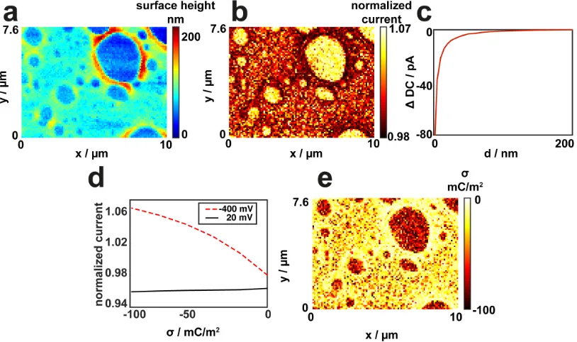 Figure 3.2. Simultaneous topography and quantified charge maps of an incomplete 