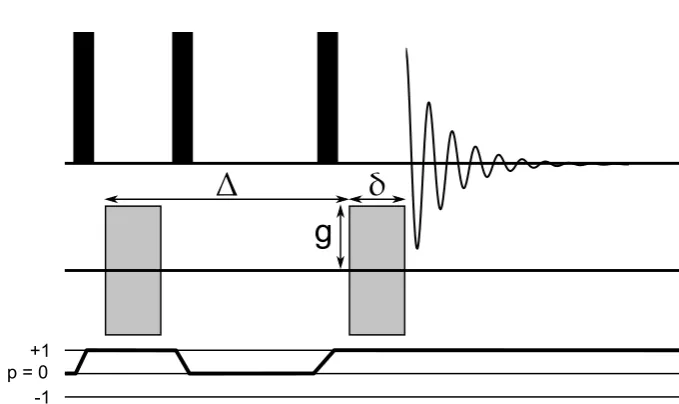 Figure 2.6: The pulse sequence and coherence transfer pathway for a stimu-the length of the gradient pulse,lated echo pulsed ﬁeld gradient (STE-PFG)