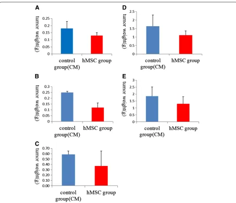 Figure 3 Tumor tissuesixth weeks, the difference in tumor weight before and after hMSC intervention was not statistically significant between groups (mesenchymal stem cell (hMSC) engraftment groups was significantly lower than that of control groups ( in v