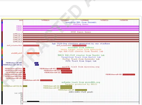 Figure 1 MicroRNA (miRNA) to mRNA network visualized by Cytoscape. Pink dot represents target genes and red dot represents hub genes;yellow rectangle is miRNA; blue edge indicates target gene located in the pathway of human cancer; green edge means that target gene islocated in the Wnt signaling pathway and orange edge that target gene is located in the bladder cancer pathway.Pink dot represents target genes and red dot represents hub genes;yellow rectangle is miRNA; blue edge indicates target gene located in the pathway of human cancer; green edge means that target gene islocated in the Wnt signaling pathway and orange edge that target gene is located in the bladder cancer pathway.Pink dot represents target genes and red dot represents hub genes;yellow rectangle is miRNA; blue edge indicates target gene located in the pathway of human cancer; green edge means that target gene islocated in the Wnt signaling pathway and orange edge that target gene is located in the bladder cancer pathway.