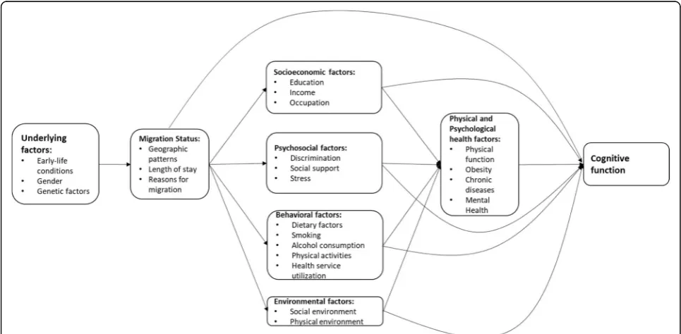 Fig. 1 Conceptual Framework of Potential Mechanisms to Explain the Relationships between Migration and Cognitive Function