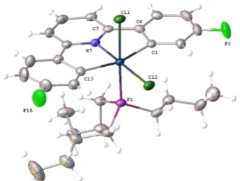 Figure 2.4 Crystal structure of 3-Bu(t)N107-Pt1-P1, 174.05(10); C117-Pt1-Cl11, 89.56(10); C117-Pt1-Cl12, 89.45(10); C117-Pt1-P1, 105.06(11); Cl11,,92.45(10); C101-Pt1-Cl12, 87.50(10); C101-Pt1-C117, 159.34(15); C101-Pt1-P1, 95.57(10); N107-2.102(4); Pt-N10