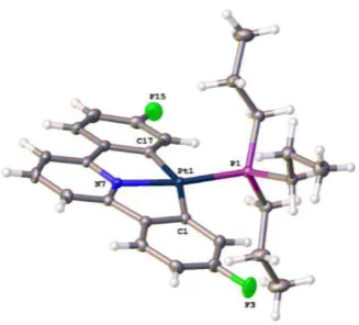 Figure 2.8. 