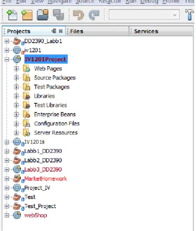 Figure 1 – Project tree in NetBeans IDE. 