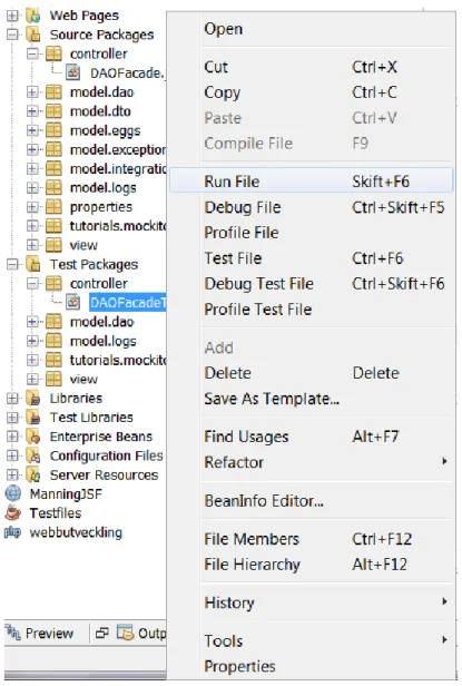 Figure 8 – How to run a test class in NetBeans IDE. 