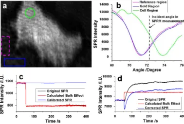 Fig. S2. Bulk refractive index correction. (a) The locations of three regions-of-interest including a  reference region (pink box), a gold region (blue box) and a cell region (green circle)