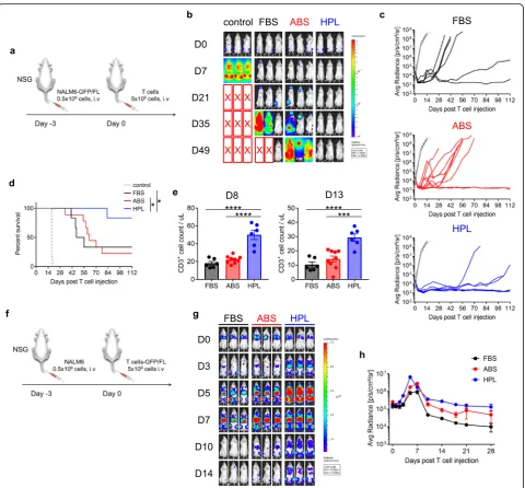 Fig. 6 In vivo performance of 1928z T cell expanded in different serum. (a) Schema of in vivo experiment for 1928z T cell