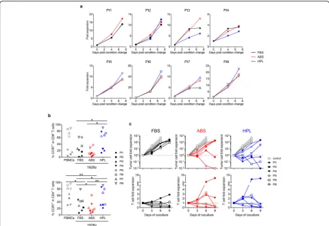 Fig. 7 Effect of different sera on characteristics of 1928z T cell generated from patient’s PBMCs