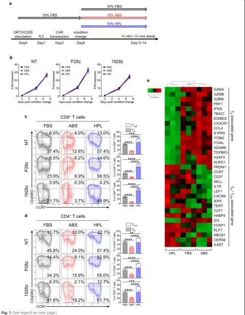 Fig. 1 (See legend on next page.)