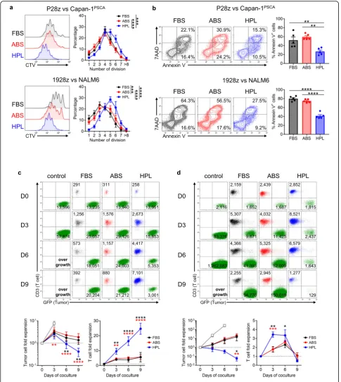 Fig. 3 Effect of serum on proliferation and anti-tumor response of CAR T cells. (detection of apoptotic cells
