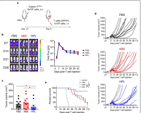 Fig. 4 Effect of serum on in vivo performance of P28z T cells. (from P28z T cells at different time points