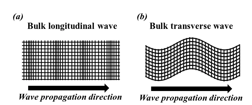 Figure 2.3. Schematic of different types of elastic waves in unbounded solids. (a) Longitudinal wave (b) Transverse wave 