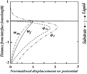 Figure 3.2. Normalized SH-SAW particle displacement (u) and potential ( ) profiles at the crystal/water interface for metalized (m) and metal free surface (f)