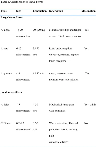 Table 1. Classification of Nerve Fibres  