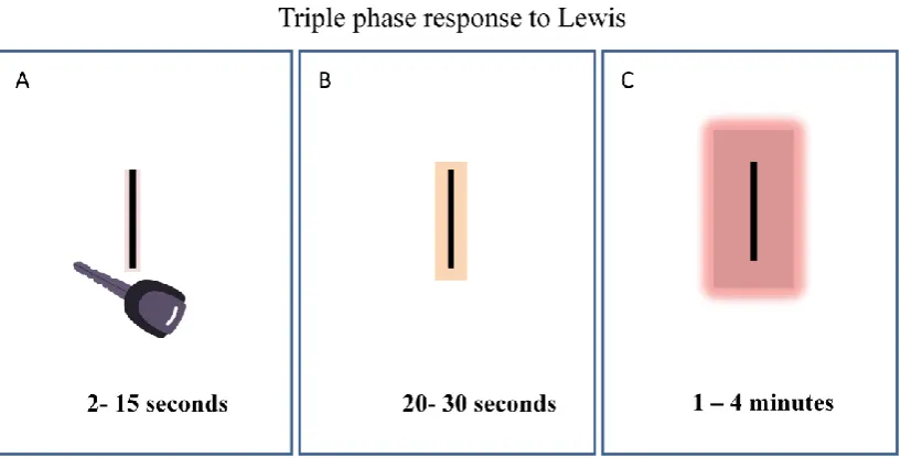 Figure 1: The Lewis Triple Response. 